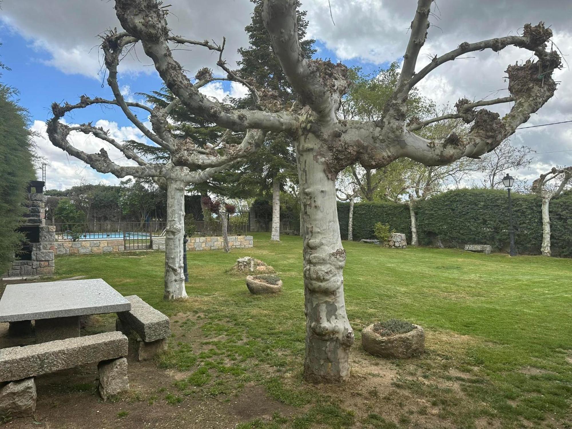 Casa Rural El Cordel La Serrada Esterno foto